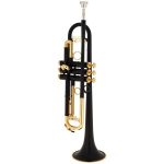 Schagerl Signature Timmy Trumpet LE - imagine 2