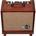 Taylor Amp Circa 74 AV150-10 - imagine 3