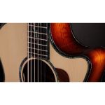 Taylor PS54ce - imagine 8