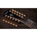 Taylor PS54ce - imagine 11