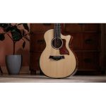 Taylor PS54ce - imagine 15