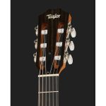 Taylor 212ce-N Plus - imagine 5