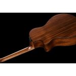 Taylor 362CE 12 Fret 12 string - imagine 8