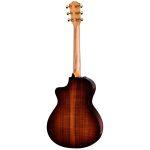 Taylor 222ce-K DLX - imagine 2