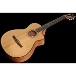 Taylor 112ce-N - imagine 10