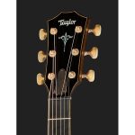Taylor Builders Edition 912ce Sinker - imagine 3