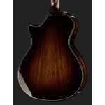Taylor Builders Edition 912ce Sinker - imagine 5