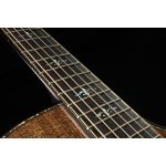Taylor Builders Edition 912ce Sinker - imagine 7