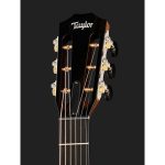 Taylor 312Ce-12Fret-V-Class - imagine 4