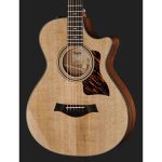 Taylor 312Ce-12Fret-V-Class - imagine 5
