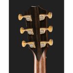 Taylor Builder’s Edition 914ce WHB - imagine 3