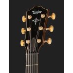 Taylor Builder’s Edition 914ce WHB - imagine 4