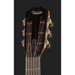 Taylor 322e-12Fret-V-Class - imagine 5