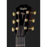 Taylor GT K21e - imagine 4