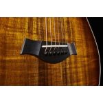Taylor GT K21e - imagine 8