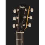 Taylor 212ce Plus - imagine 5