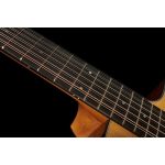 Taylor 254ce Plus - imagine 8