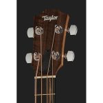 Taylor GS Mini-e Bass - imagine 5