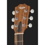 Taylor GS Mini Sapele Lefthand - imagine 4