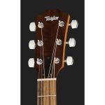 Taylor Academy Series 12e LH - imagine 4