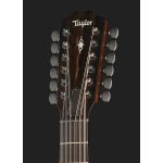 Taylor 362CE-LH 12 Fret 12 string - imagine 4