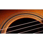 Taylor 414ce Studio Shaded Edgeburst - imagine 3