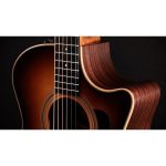 Taylor 414ce Studio Shaded Edgeburst - imagine 6
