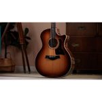 Taylor 414ce Studio Shaded Edgeburst - imagine 10