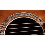 Taylor Gold Label 814e Sunburst - imagine 9