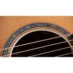 Taylor Gold Label 814e - imagine 5