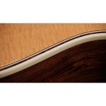 Taylor Gold Label 814e - imagine 6