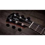 Taylor Gold Label 814e - imagine 8