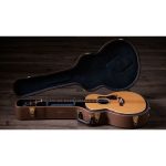 Taylor Gold Label 814e - imagine 11