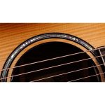 Taylor Builder´s Ed. 814ce Adirondack - imagine 3