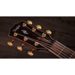 Taylor Builder´s Ed. 814ce Adirondack - imagine 8