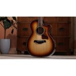 Taylor Builder´s Ed. 814ce Adirondack - imagine 10