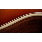 Taylor Gold Label 814e Koa Sunburst - imagine 3