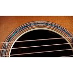 Taylor Gold Label 814e Koa Sunburst - imagine 4