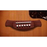 Taylor Gold Label 814e Koa Sunburst - imagine 5