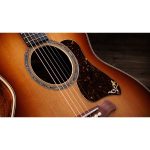 Taylor Gold Label 814e Koa Sunburst - imagine 13