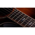 Taylor Builder’s Ed. 814ce Sinker - imagine 3