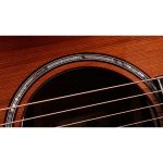 Taylor Builder’s Ed. 814ce Sinker - imagine 4