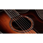 Taylor Builder’s Ed. 814ce Sinker - imagine 7