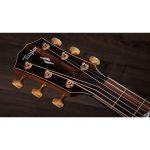 Taylor Builder’s Ed. 814ce Sinker - imagine 10