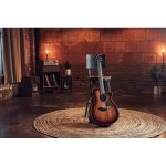 Taylor Builder’s Ed. 814ce Sinker - imagine 12