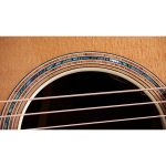Taylor Gold Label 814e Koa - imagine 4