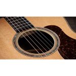 Taylor Gold Label 814e Koa - imagine 8