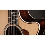 Taylor 854ce - imagine 6