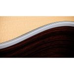 Taylor 454ce - imagine 3