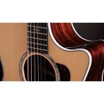 Taylor 454ce - imagine 5